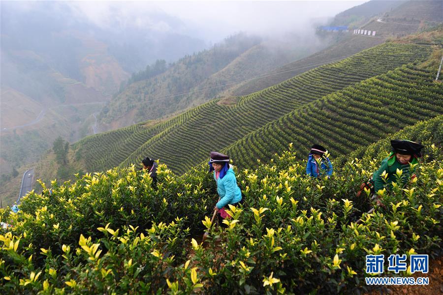 （兩會(huì)前夕看落實(shí)&middot;圖文互動(dòng)）（8）決戰(zhàn)脫貧攻堅(jiān) 奮力后發(fā)趕超&mdash;&mdash;貴州落實(shí)習(xí)近平總書(shū)記全國(guó)兩會(huì)重要講話精神紀(jì)實(shí)