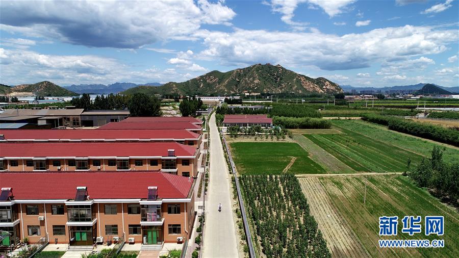 （新華全媒頭條&middot;圖文互動(dòng)）（5）承諾有&ldquo;干貨&rdquo; 落實(shí)有&ldquo;硬招&rdquo;&mdash;&mdash;&ldquo;全國(guó)兩會(huì)部長(zhǎng)通道&rdquo;上承諾踐行情況掃描