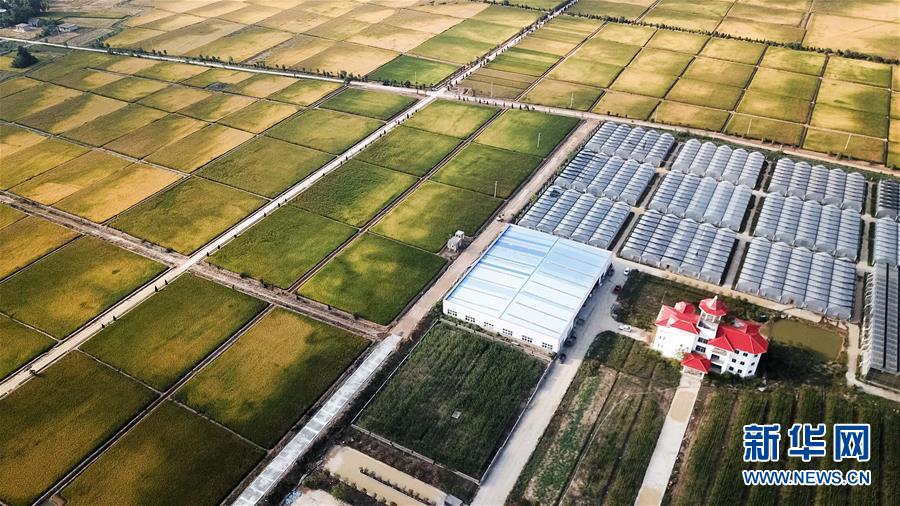 （新華全媒頭條&middot;愛國情 奮斗者&middot;圖文互動）（8）一個村的奮斗，一個時代的巨變&mdash;&mdash;記敢&ldquo;蹚新路&rdquo;的小崗人