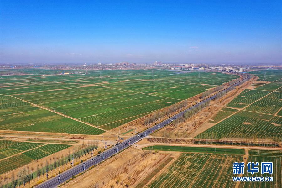 （新華全媒頭條&middot;圖文互動）（2）奮進，向著未來之城！&mdash;&mdash;河北雄安新區(qū)建設發(fā)展兩周年紀實