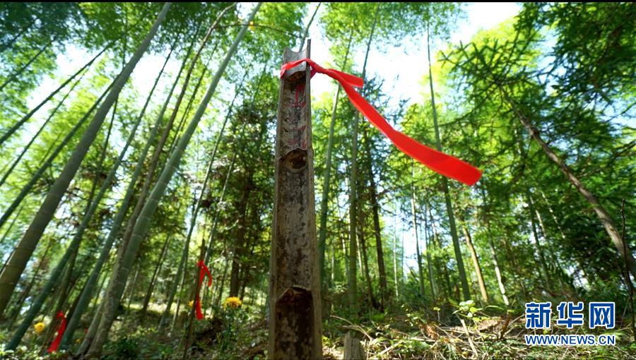 （圖文互動）（2）永不遲到的祭奠&mdash;&mdash;追尋1343座無名紅軍墓背后的故事