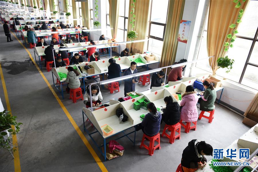 （在習(xí)近平新時(shí)代中國(guó)特色社會(huì)主義思想指引下&mdash;&mdash;新時(shí)代新作為新篇章&middot;圖文互動(dòng)）（5）&ldquo;搬遷到哪里，服務(wù)就延伸到哪里&rdquo;&mdash;&mdash;貴州推進(jìn)易地扶貧搬遷&ldquo;后半篇文章&rdquo; 