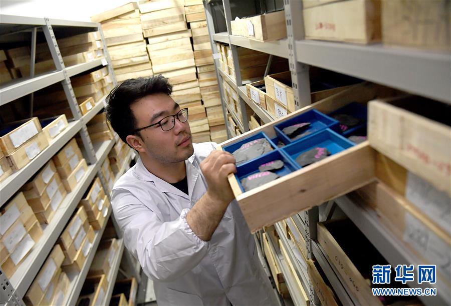 （新華全媒頭條&middot;圖文互動(dòng)）（4）探尋5億年前&ldquo;生命大爆炸&rdquo;之奧秘&mdash;&mdash;中國(guó)科學(xué)家發(fā)現(xiàn)寒武紀(jì)&ldquo;化石寶庫(kù)&rdquo;清江生物群紀(jì)實(shí)