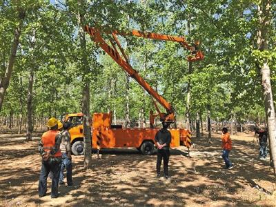 點擊進(jìn)入下一頁