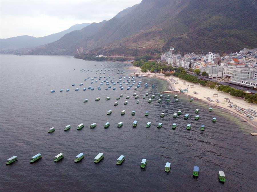 （新華全媒頭條&middot;北京世園會(huì)&middot;圖文互動(dòng)）（14）建設(shè)美麗中國(guó) 共筑綠色家園&mdash;&mdash;寫在2019年中國(guó)北京世界園藝博覽會(huì)開幕之際