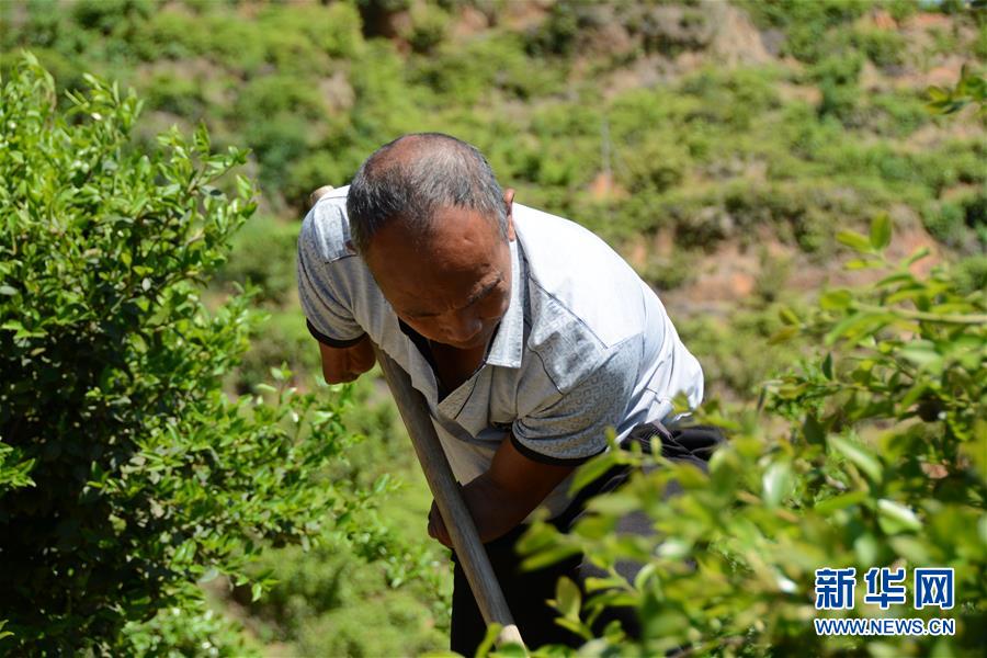 (壯麗70年&middot;奮斗新時代&middot;圖文互動）（1）福建長?。簱Q顏&ldquo;山光水濁&rdquo; 永駐綠水青山