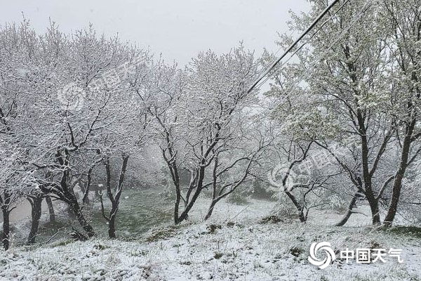 冷空氣要撤啦！今日全國(guó)降水整體弱 華南仍有強(qiáng)對(duì)流