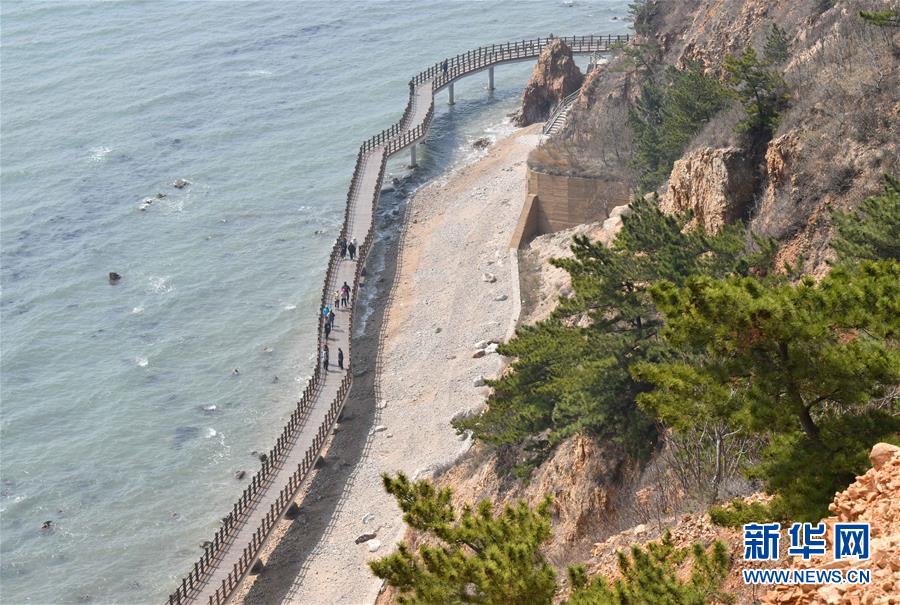 (壯麗70年·奮斗新時代·圖文互動)(2)山東煙臺:念好“海洋經” 闊步向深藍