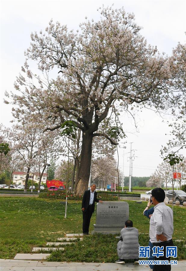 （壯麗70年&middot;奮斗新時(shí)代&middot;圖文互動(dòng)）（6）以改革創(chuàng)新實(shí)現(xiàn)縣域新治&mdash;&mdash;河南蘭考縣域治理樣本觀(guān)察