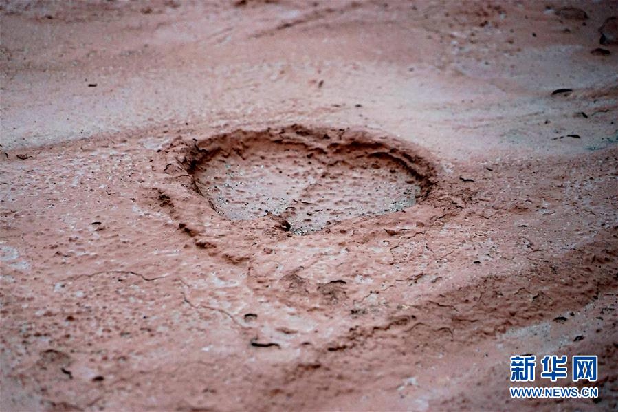 （新華全媒頭條&middot;圖文互動）（8）&ldquo;若問古今興廢事，請君只看洛陽城&rdquo;&mdash;&mdash;千年古都&ldquo;烹制&rdquo;博物館盛宴