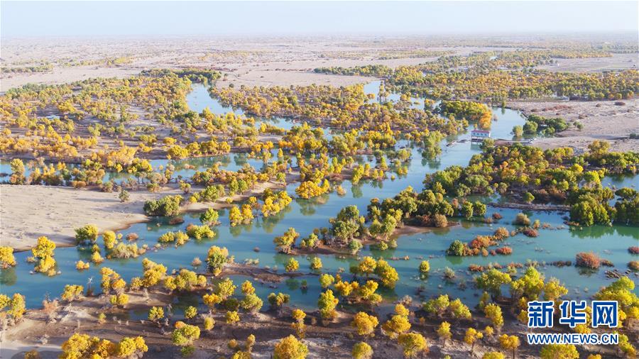 （新華全媒頭條&middot;圖文互動）（4）大河歸來