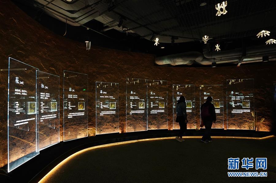 （在習(xí)近平新時(shí)代中國(guó)特色社會(huì)主義思想指引下&mdash;&mdash;新時(shí)代新作為新篇章&middot;圖文互動(dòng)）（4）從世園會(huì)&ldquo;看&rdquo;中國(guó)綠色發(fā)展之路&mdash;&mdash;寫在北京世園會(huì)&ldquo;中國(guó)國(guó)家館日&rdquo;到來之際