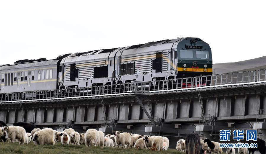 （新華全媒頭條&middot;壯麗70年&middot;奮斗新時(shí)代&middot;圖文互動）（12）開拓雪域高原的夢想之路&mdash;&mdash;來自青藏鐵路的蹲點(diǎn)報(bào)告