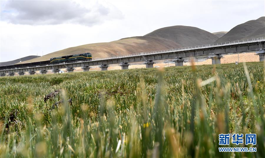 （新華全媒頭條&middot;壯麗70年&middot;奮斗新時(shí)代&middot;圖文互動）（15）開拓雪域高原的夢想之路&mdash;&mdash;來自青藏鐵路的蹲點(diǎn)報(bào)告