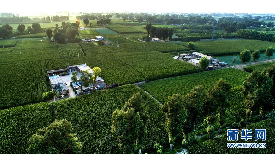 （權威訪談&middot;聚焦中國經(jīng)濟亮點&middot;圖文互動）（2）防治土地荒漠化 推動綠色發(fā)展&mdash;&mdash;專訪國家林業(yè)和草原局副局長劉東生