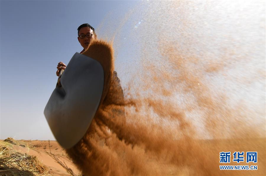 （權威訪談&middot;聚焦中國經(jīng)濟亮點&middot;圖文互動）（10）防治土地荒漠化 推動綠色發(fā)展&mdash;&mdash;專訪國家林業(yè)和草原局副局長劉東生