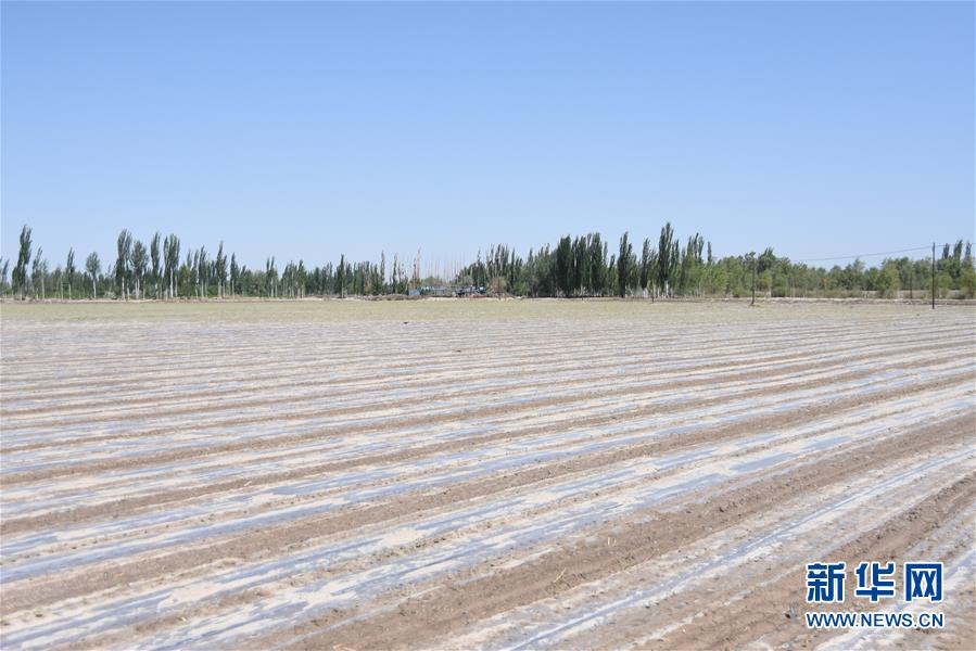 （圖文互動）（3）吐木爾家最后一個(gè)農(nóng)民