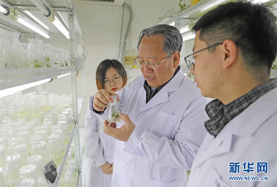 （新華全媒頭條&middot;圖文互動(dòng)）（1）和蔬菜&ldquo;說話&rdquo;的人&mdash;&mdash;中國(guó)工程院院士李天來的&ldquo;棚菜人生&rdquo;
