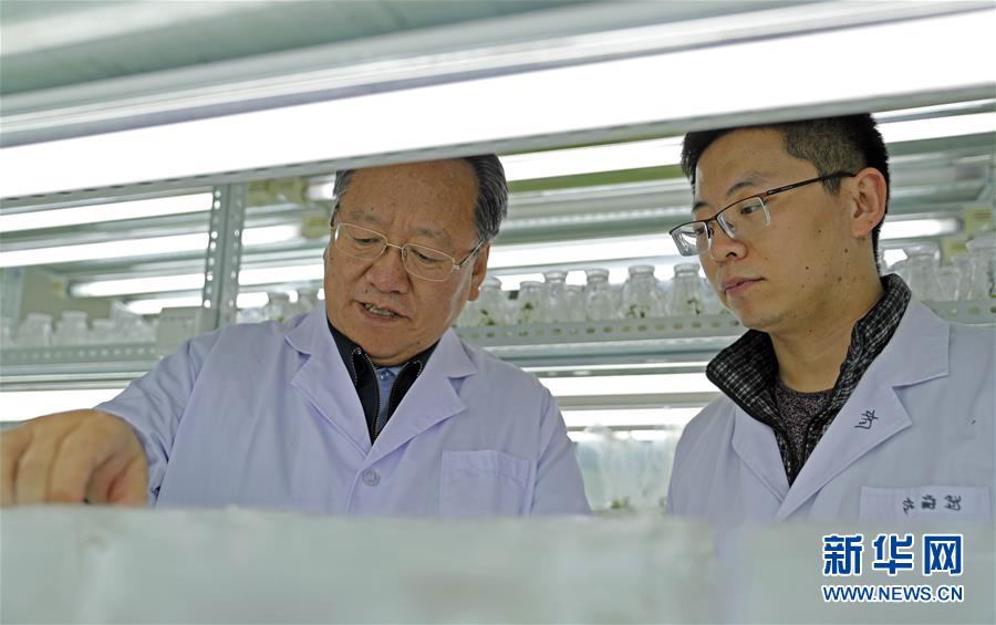 （新華全媒頭條&middot;圖文互動(dòng)）（2）和蔬菜&ldquo;說話&rdquo;的人&mdash;&mdash;中國(guó)工程院院士李天來的&ldquo;棚菜人生&rdquo;