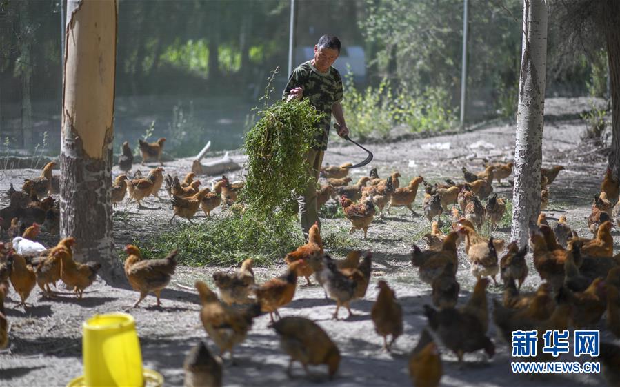 （新華全媒頭條&middot;圖文互動(dòng)）（6）同心援疆，&ldquo;壯闊&rdquo;祖國(guó)西北角