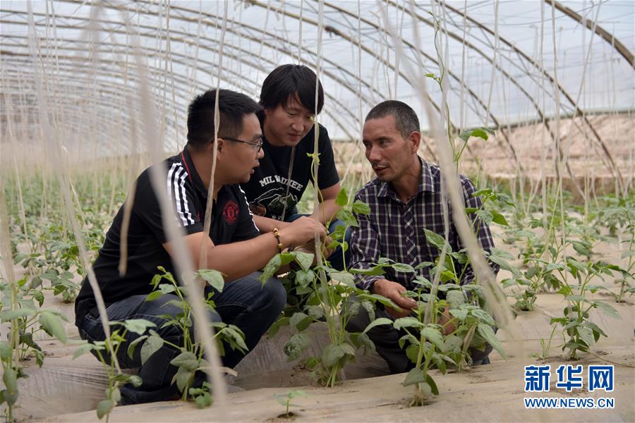 （新華全媒頭條&middot;圖文互動(dòng)）（10）同心援疆，&ldquo;壯闊&rdquo;祖國(guó)西北角