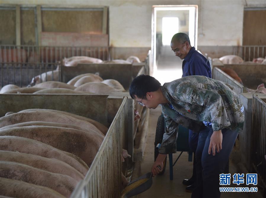 （新華全媒頭條&middot;圖文互動）（2）咱們村里的年輕人&mdash;&mdash;記奮戰(zhàn)在貴州脫貧攻堅一線的青年