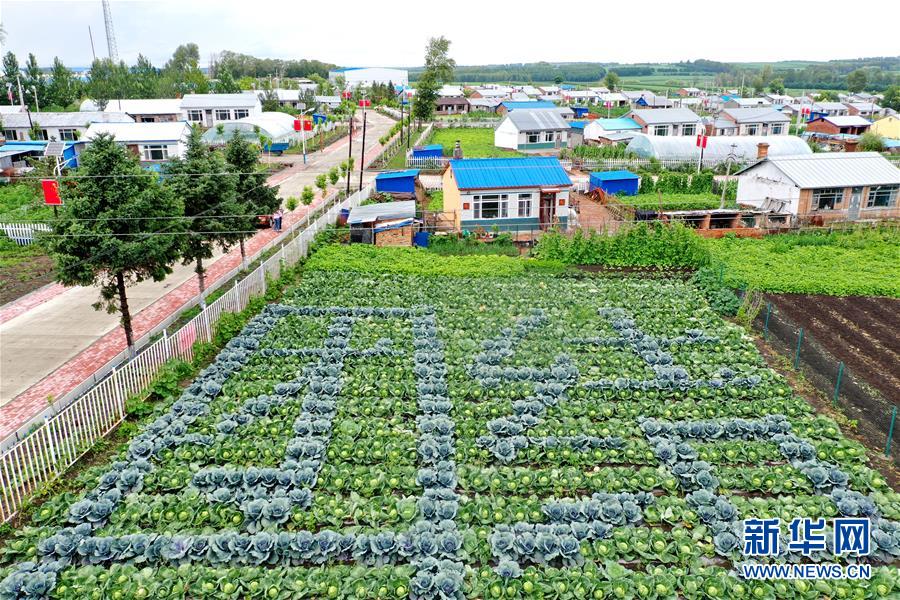（圖文互動(dòng)）（1）（在習(xí)近平新時(shí)代中國特色社會(huì)主義思想指引下&mdash;&mdash;新時(shí)代新作為新篇章）&ldquo;團(tuán)結(jié)&rdquo;振興團(tuán)結(jié)村&mdash;&mdash;黑龍江拜泉縣團(tuán)結(jié)村凝聚民心攻堅(jiān)脫貧