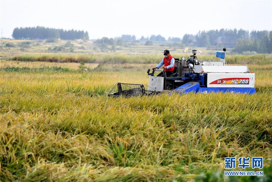 （壯麗70年&middot;奮斗新時代&mdash;&mdash;共和國發(fā)展成就巡禮&middot;圖文互動）（3）安徽70年：改革創(chuàng)新書寫時代答卷