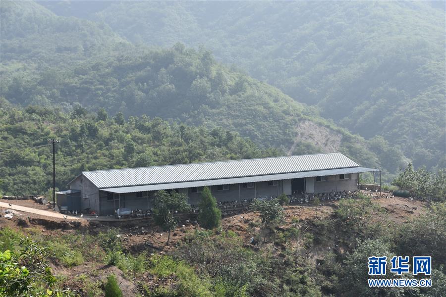 (圖文互動)(2)“退休創(chuàng)客”的山鄉(xiāng)致富“合作社”