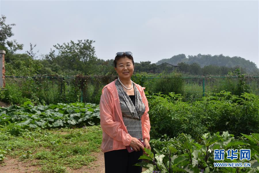 (圖文互動)(3)“退休創(chuàng)客”的山鄉(xiāng)致富“合作社”