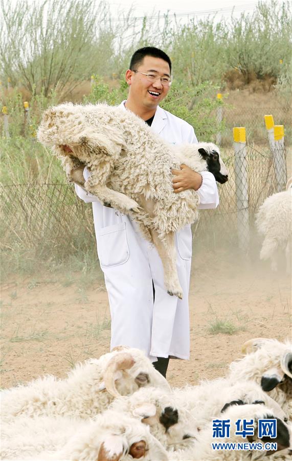 （壯麗70年&middot;奮斗新時(shí)代&mdash;&mdash;共和國(guó)發(fā)展成就巡禮&middot;圖文互動(dòng)）（3）生態(tài)美、百姓富&mdash;&mdash;品讀嶄新&ldquo;寧夏畫卷&rdquo;