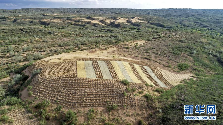 （壯麗70年&middot;奮斗新時(shí)代&mdash;&mdash;共和國(guó)發(fā)展成就巡禮&middot;圖文互動(dòng)）（6）生態(tài)美、百姓富&mdash;&mdash;品讀嶄新&ldquo;寧夏畫卷&rdquo;