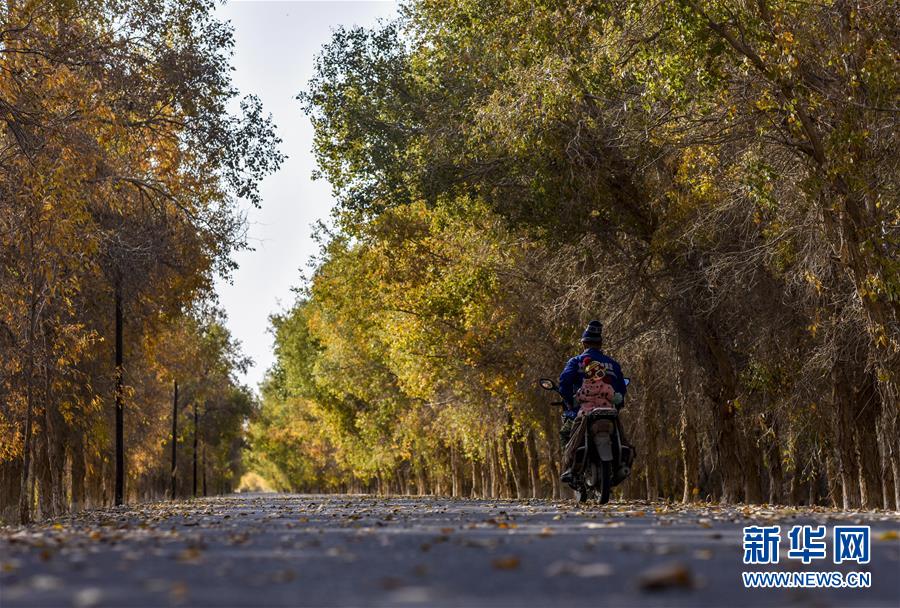 （壯麗70年&middot;奮斗新時(shí)代&mdash;&mdash;共和國發(fā)展成就巡禮&middot;圖文互動(dòng)）（2）鑄劍為犁造綠洲 安邊固疆筑&ldquo;長城&rdquo;&mdash;&mdash;新疆生產(chǎn)建設(shè)兵團(tuán)維穩(wěn)戍邊改革發(fā)展紀(jì)實(shí)