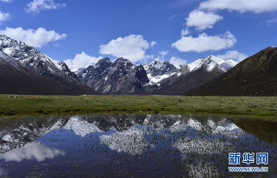 （今日關注&middot;第一屆國家公園論壇&middot;圖文互動）（6）首個國家公園什么樣？專家?guī)阆?ldquo;睹&rdquo;為快