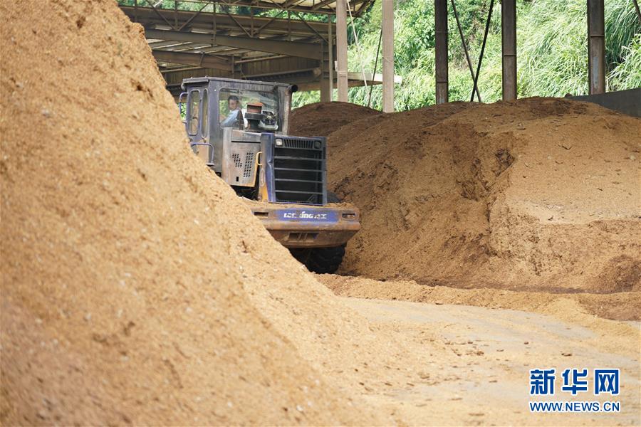 （在習(xí)近平新時(shí)代中國(guó)特色社會(huì)主義思想指引下&mdash;&mdash;新時(shí)代新作為新篇章&middot;總書記關(guān)心的百姓身邊事&middot;圖文互動(dòng)）（4）大污染變身&ldquo;大寶藏&rdquo;：治理畜禽糞污，他們這樣干！