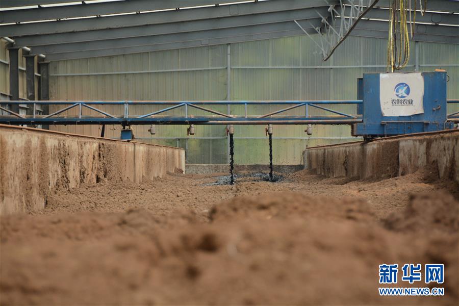 （在習(xí)近平新時(shí)代中國(guó)特色社會(huì)主義思想指引下&mdash;&mdash;新時(shí)代新作為新篇章&middot;總書記關(guān)心的百姓身邊事&middot;圖文互動(dòng)）（5）大污染變身&ldquo;大寶藏&rdquo;：治理畜禽糞污，他們這樣干！