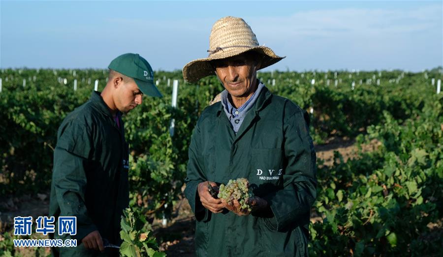 （新華全媒頭條&middot;圖文互動(dòng)）（9）攜手鑄就非凡夢(mèng)想&mdash;&mdash;寫在習(xí)近平主席提出構(gòu)建更加緊密的中非命運(yùn)共同體一周年之際