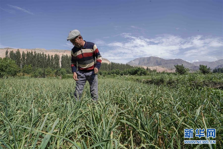 （決戰(zhàn)決勝脫貧攻堅(jiān)&middot;圖文互動(dòng)）（6）記者手記：尋訪昆侖&ldquo;桃花源&rdquo;的&ldquo;祛病&rdquo;良方