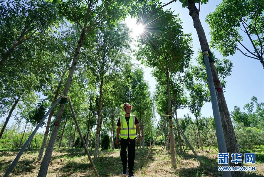 （壯麗70年&middot;奮斗新時(shí)代&middot;重溫囑托看變化&middot;圖文互動(dòng)）（1）雄安新區(qū)：錨定高質(zhì)量發(fā)展　奮力書(shū)寫(xiě)新時(shí)代答卷