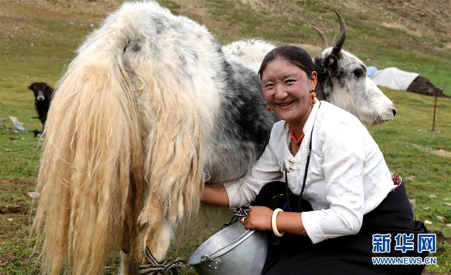 （決戰(zhàn)決勝脫貧攻堅(jiān)&middot;圖文互動）（9）以保護(hù)促脫貧　以脫貧助保護(hù)&mdash;&mdash;長江源頭第一縣的生態(tài)發(fā)展選擇