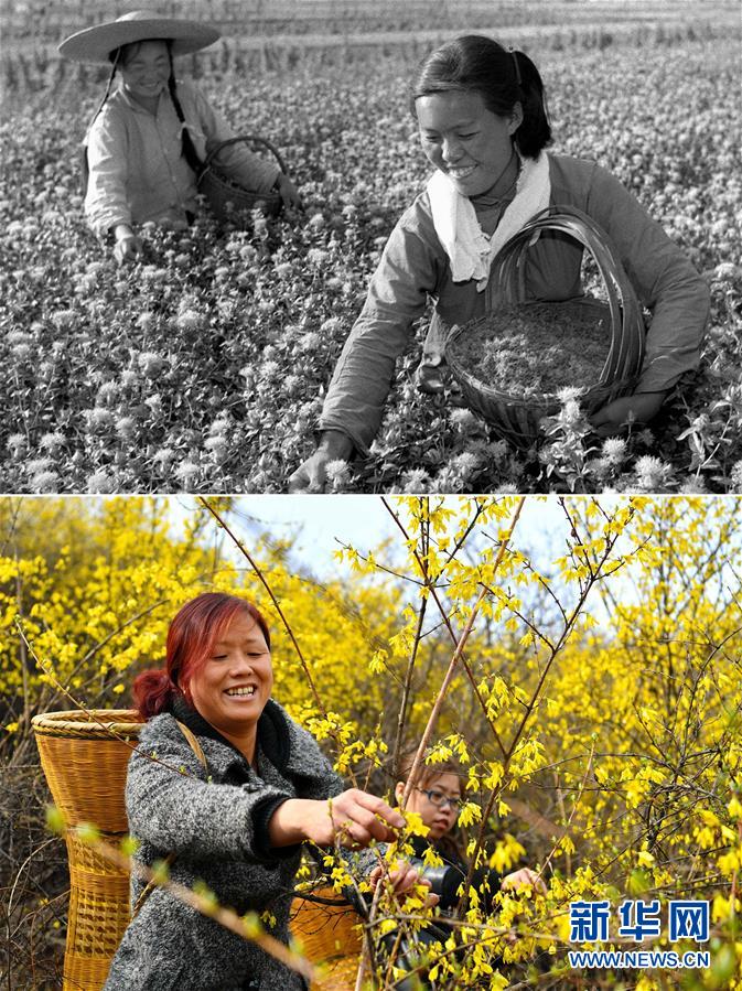 （壯麗70年&middot;奮斗新時(shí)代）（3）70年時(shí)光流影 70行見(jiàn)證發(fā)展