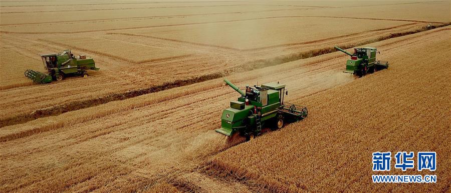 （新華全媒頭條&middot;圖文互動）（1）大國糧倉的新時代交響&mdash;&mdash;河南農(nóng)業(yè)70年觀察