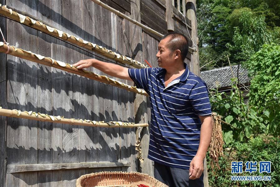 （愛國情 奮斗者&middot;圖文互動）（2）貴州印江高石坎護(hù)林隊：半輩子，以林場為家