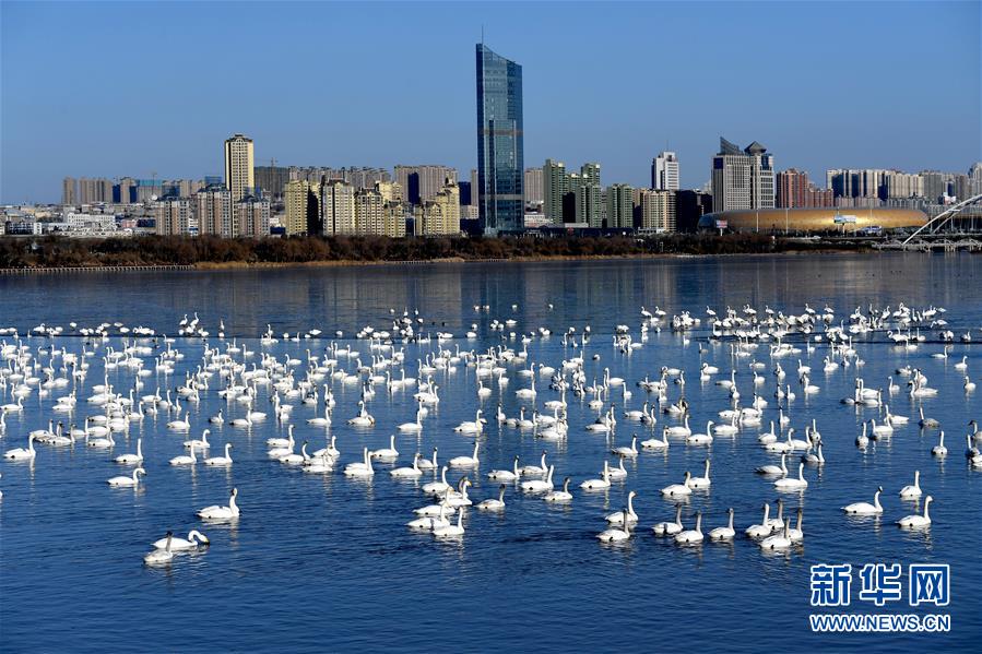 （新華全媒頭條&middot;圖文互動）（14）中國道路越走越寬廣&mdash;&mdash;社會主義中國實(shí)踐啟示錄