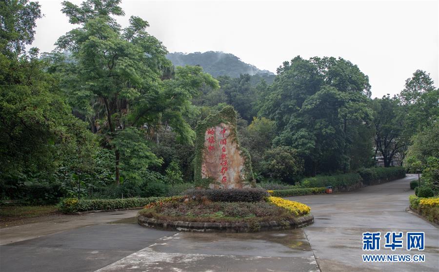 （圖文互動）（1）科學接續(xù)保護 守住生態(tài)紅線&mdash;&mdash;探訪&ldquo;北回歸沙漠帶上的綠色明珠&rdquo;