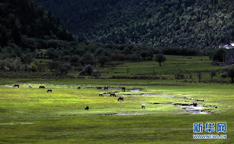 （新華全媒頭條&middot;決戰(zhàn)決勝脫貧攻堅(jiān)&middot;圖文互動(dòng)）（7）為了人與自然和諧共生&mdash;&mdash;云南&ldquo;三江并流&rdquo;地區(qū)決戰(zhàn)精準(zhǔn)脫貧的&ldquo;生態(tài)畫(huà)卷&rdquo;