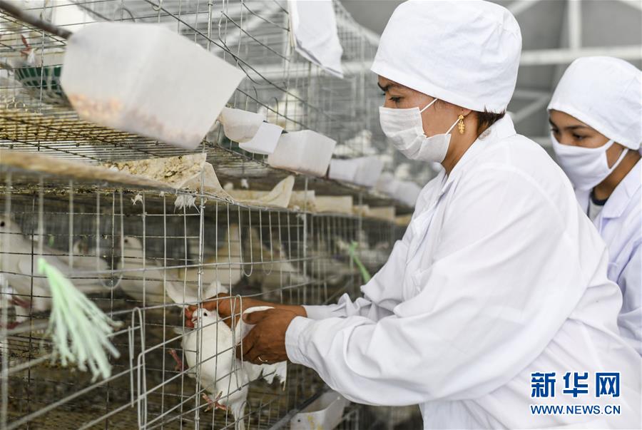 （決戰(zhàn)決勝扶貧攻堅(jiān)&middot;圖文互動(dòng)）（5）凝心聚力奔小康&mdash;&mdash;新疆南疆四地州脫貧攻堅(jiān)成就綜述