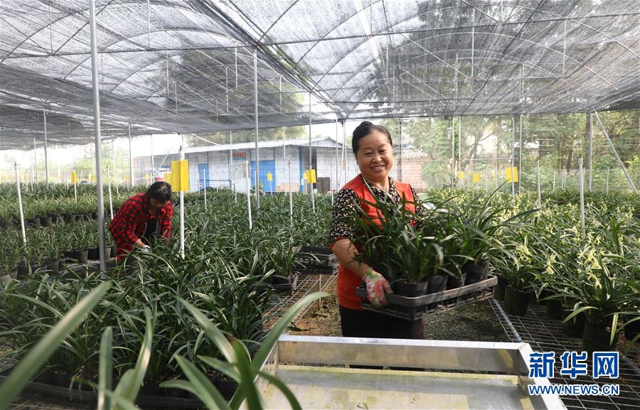 （在習(xí)近平新時代中國特色社會主義思想指引下&mdash;&mdash;新時代新作為新篇章&middot;總書記關(guān)心的百姓身邊事&middot;圖文互動）（2）&ldquo;科技秀才&rdquo;給田野帶來新希望