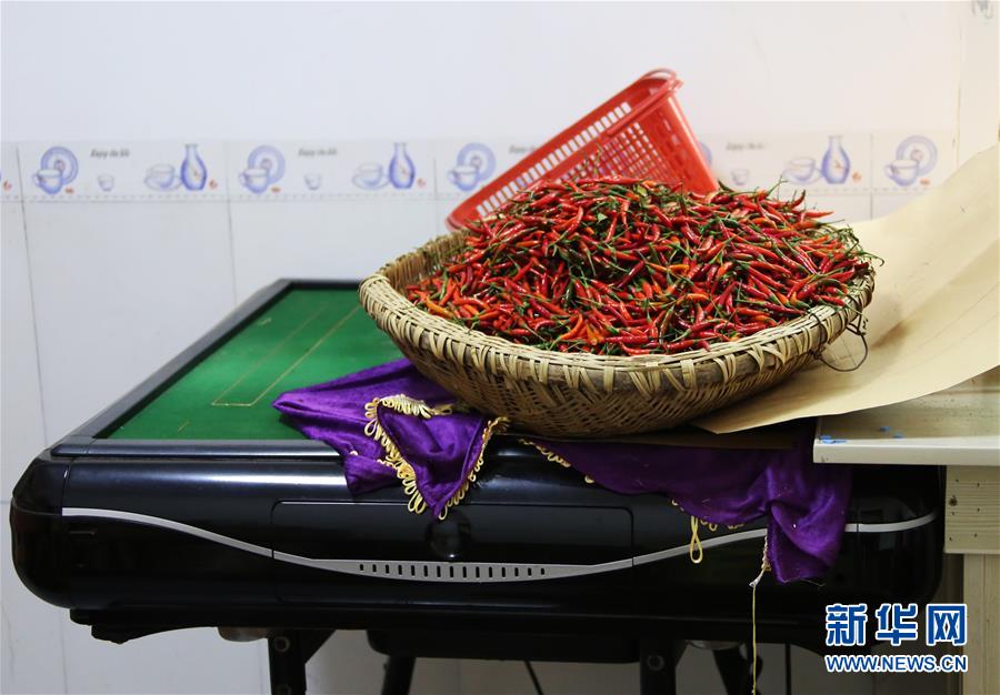 （四中全會(huì)精神在基層&middot;圖文互動(dòng)）（2）特寫：麻將桌&ldquo;失業(yè)&rdquo;記