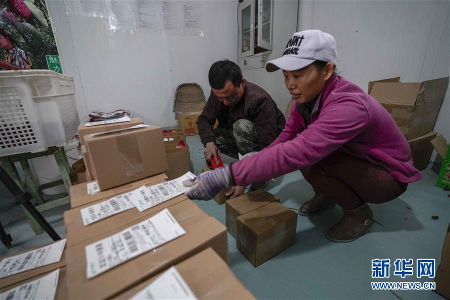 （新華全媒頭條）（9）沙海之邊一片紅&mdash;&mdash;一粒棗和&ldquo;第一大縣&rdquo;的故事